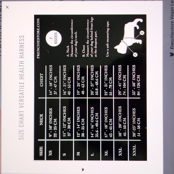 Frenchiestore neck adjustable vegan leather harness-M - Picture 6 of 6